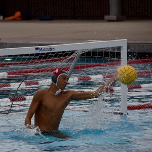 Fundraising Page: Alejandro Cheline